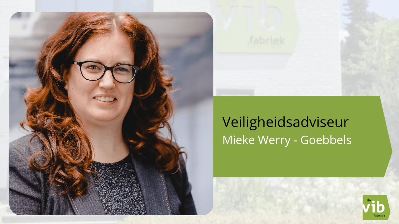 veiligheidsadviseur VIB fabriek - mieke werry goebels